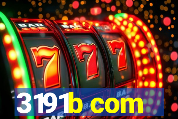 3191b com